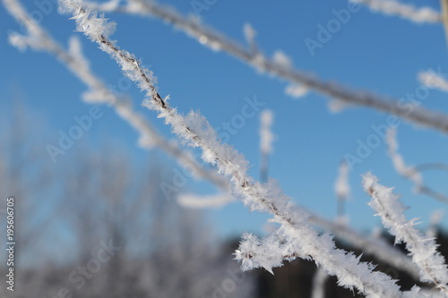 Russian winter © Almira