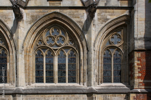 Sint-Quintinuskathedraal, Hasselt, Vlaanderen, frühgotische Fenster