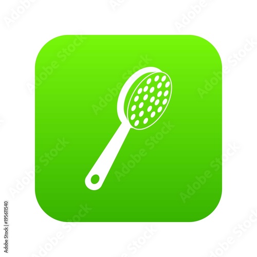 Pumice icon digital green
