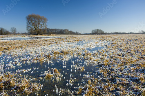 Frozen water on the field, hoarfrost on the grass and blue sky
