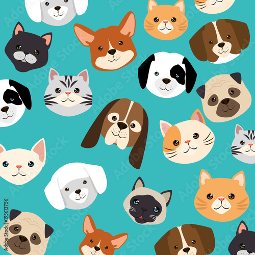 heads dogs and cats pets pattern