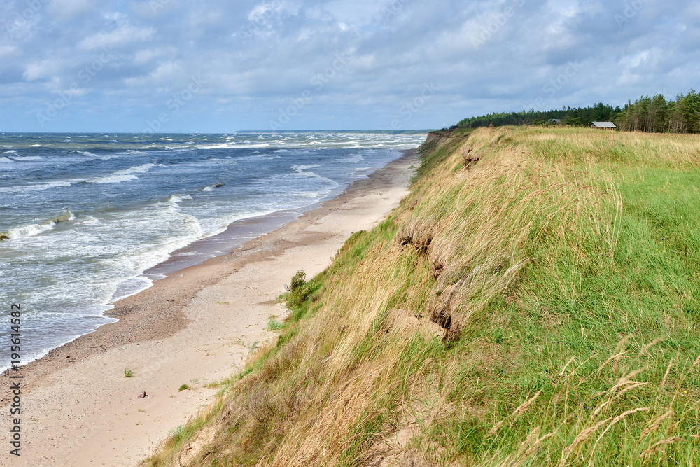 Baltic sea coastline near Liepaja, Latvia. Sand dunes with pine trees. Classical Baltic beach landscape. Wild nature