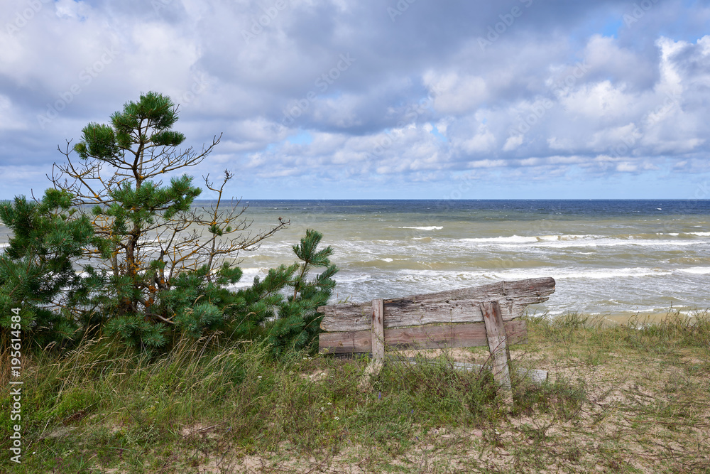 Baltic sea coastline near Liepaja, Latvia. Sand dunes with pine trees. Classical Baltic beach landscape. Wild nature