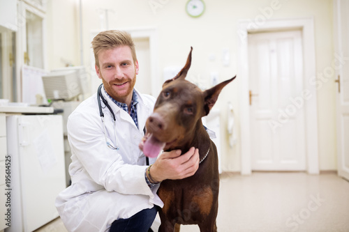 Fototapeta Naklejka Na Ścianę i Meble -  Portrait of veterinarian man and dog at examining