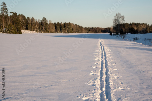 Homemade ski trails on a fi...