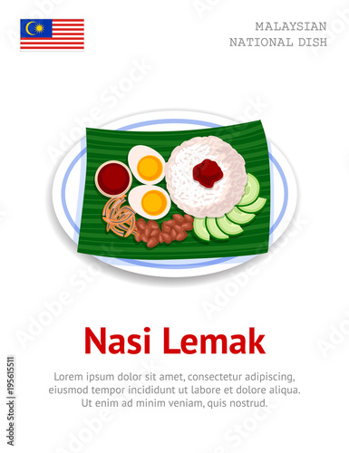 Nasi Lemak. Traditional malaysian dish. View from above. Vector flat illustration.
