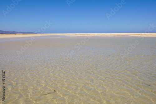 Beautiful white sand beach and Canary island   Fuerteventura sea.