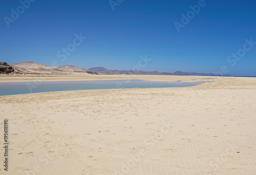 Beautiful white sand beach and Canary island   Fuerteventura sea.