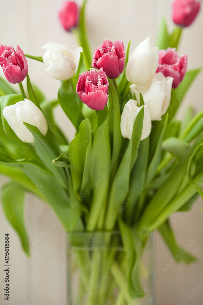 Fototapeta premium Spring tulips flower on wooden background. Tulip, gardening concept.