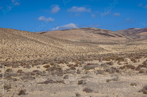 Mountain volcanic landscape  Fuerteventura  Canary Islands  Spain