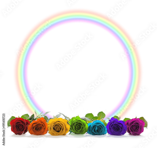 Rainbow coloured roses and  rainbow circle border -  A row of seven chakra coloured rose heads in front of a rainbow circle border on white background with plenty of copy space
 photo