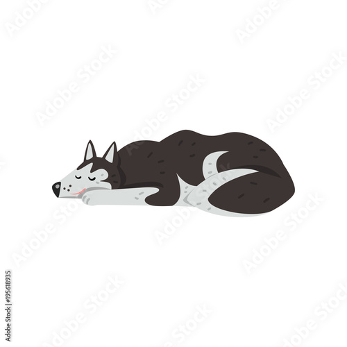 Siberian husky dog character sleeping vector Illustrations on a white background