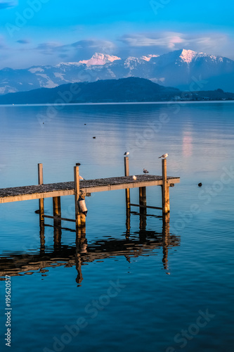 Landscapes along the shores of the Upper Zurich Lake, Rapperswil-Jona, Sankt Gallen, Switzerland © Luis