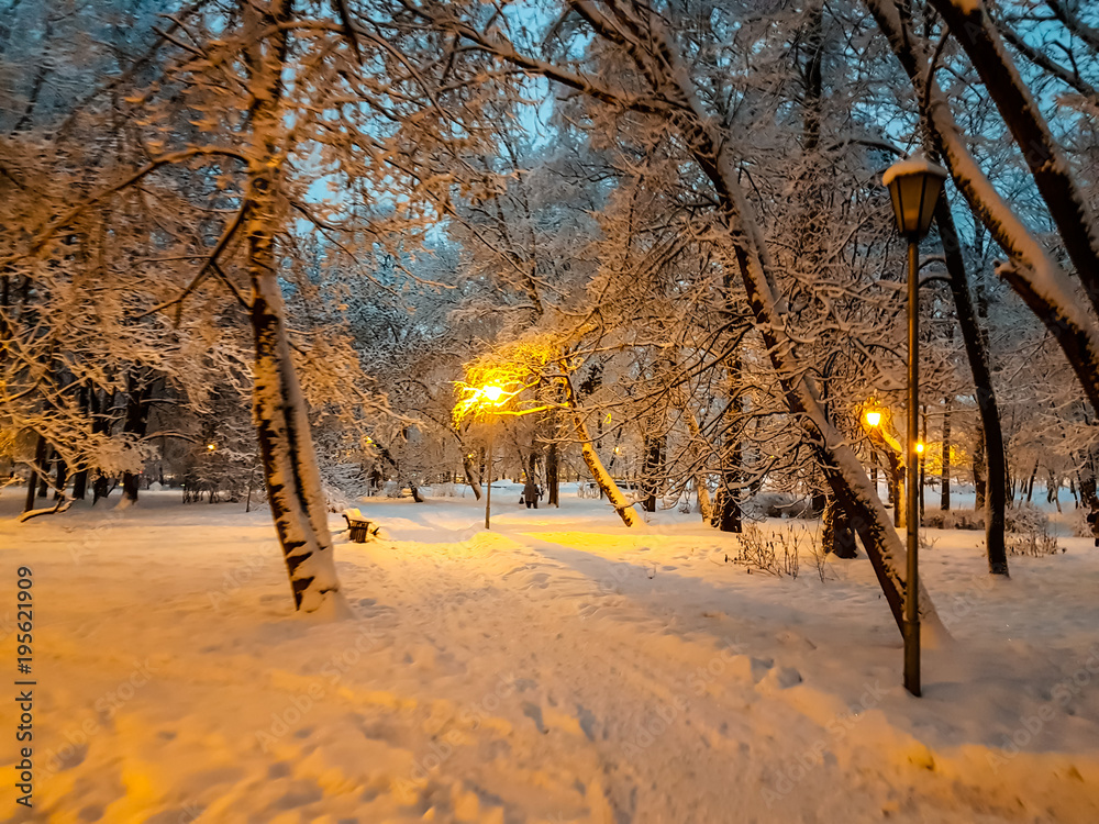 Morning in the Park after a heavy night snowfall, all covered with snow. Morning in the Park after a heavy night snowfall, all covered with snow.