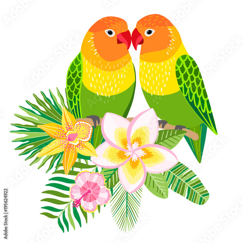 Vector lovebirds parrots. Tropical bird illustration