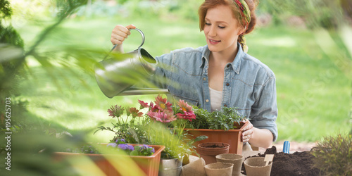 Woman watering plants photo