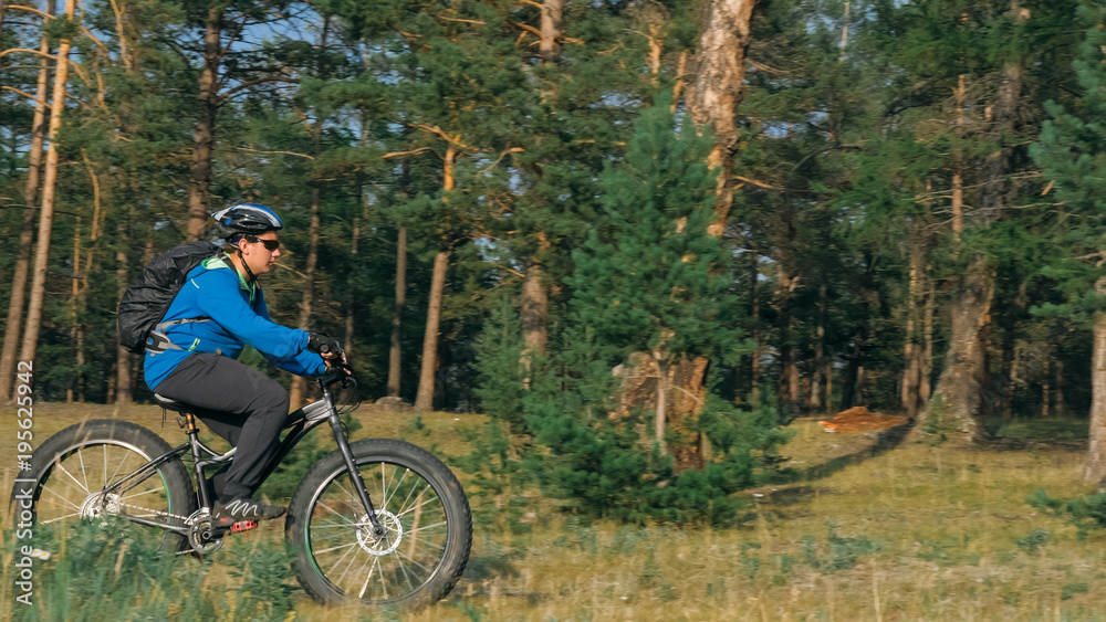 Fototapeta premium Fat bike also called fatbike or fat-tire bike in summer riding in the forest. The guy rides a bicycle among trees and stumps. He overcomes some obstacles on a bumpy road.