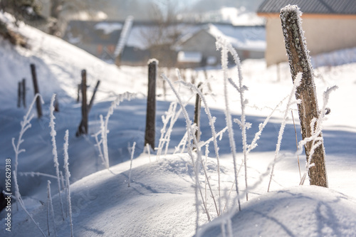 Paysage d'hiver en campagne avec plantes givrées pryès d'une cloture avec neige et soleil en contre-jour et maisons