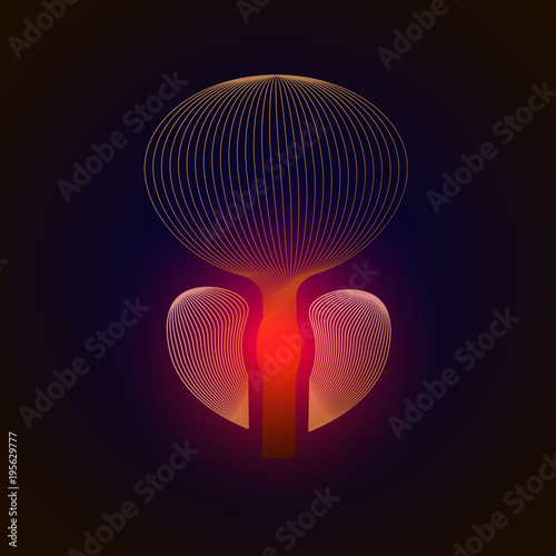 Vector isolated prostate with pain center. 3D human organ . Medicine concept with line. vector illustration of prostatitis. sexual infections, prostate.