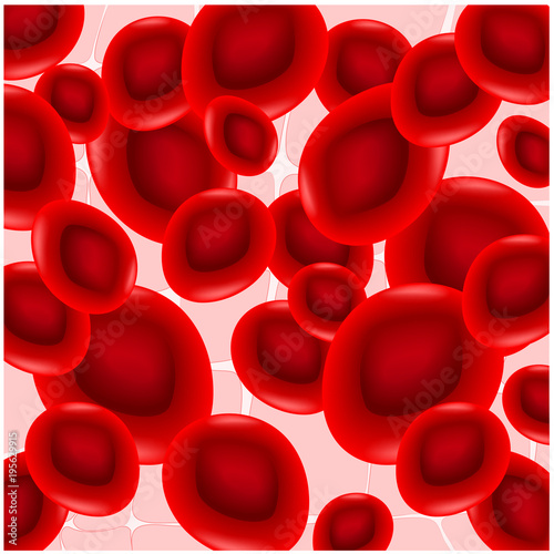 Anisocytosis. Red blood cells are of unequal size.