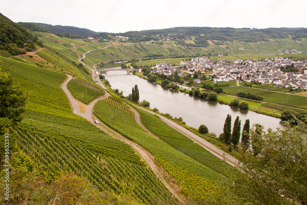 Fototapeta premium Weinberge an der Mosel bei Trittenheim