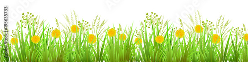 Green Grass, dandelions. Long format. Wild design. Seamless pattern. EPS Vector illustration