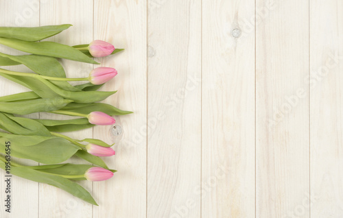 Tulipanes de color rosa sobre fondo de madera blanca