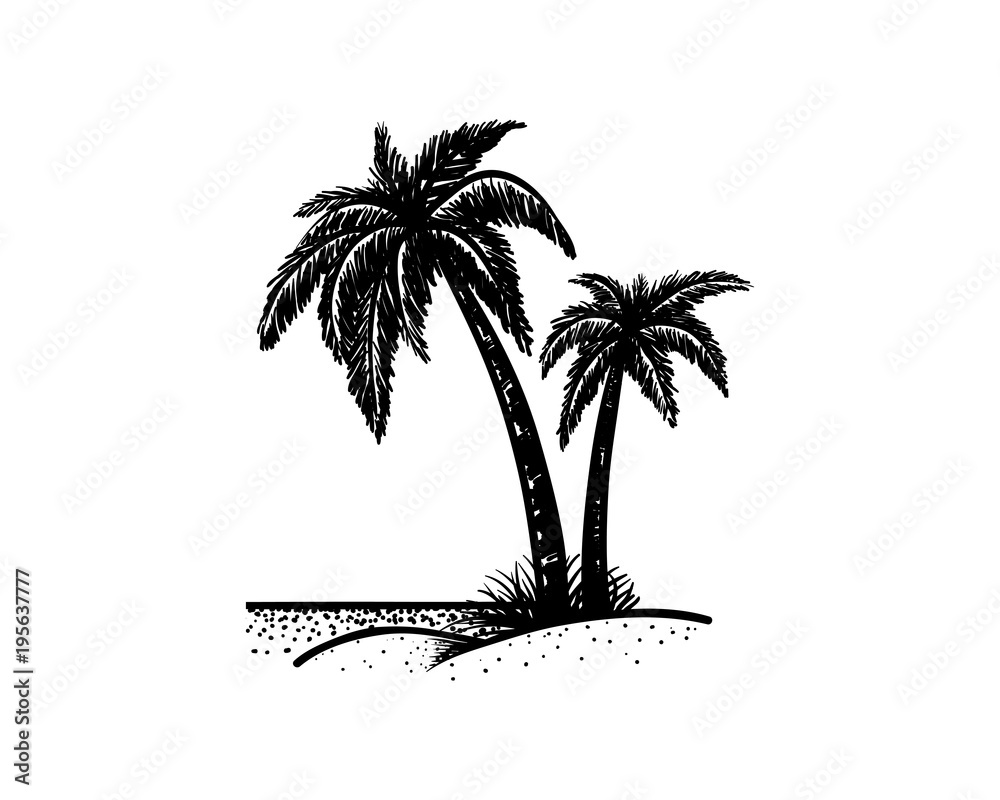 palm tree beach drawing