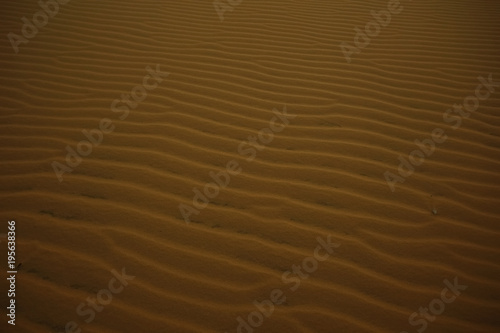 Texture sand in the desert