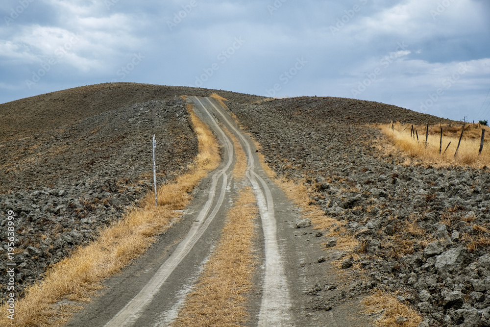 Fototapeta premium Tuscany: the road to Torre a Castello