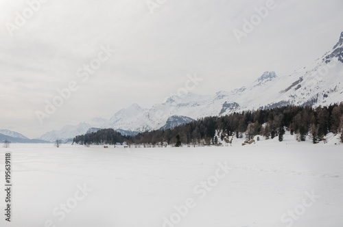 Sils, Silsersee, Langlauf, Langlaufloipe, Maloja, Oberengadin, Winter, Wintersport, Alpen, Graubünden, Schweiz
