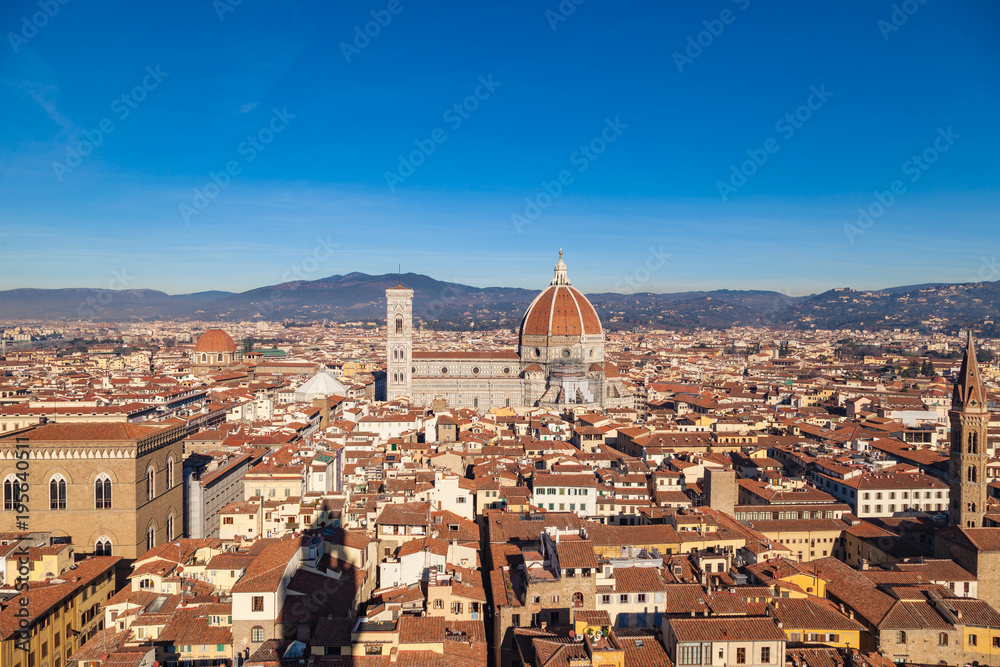 Cathedral of Santa Maria del Fiore, view from the Piazza della Signoria over the rooftops, Florence, Tuscany, Italy