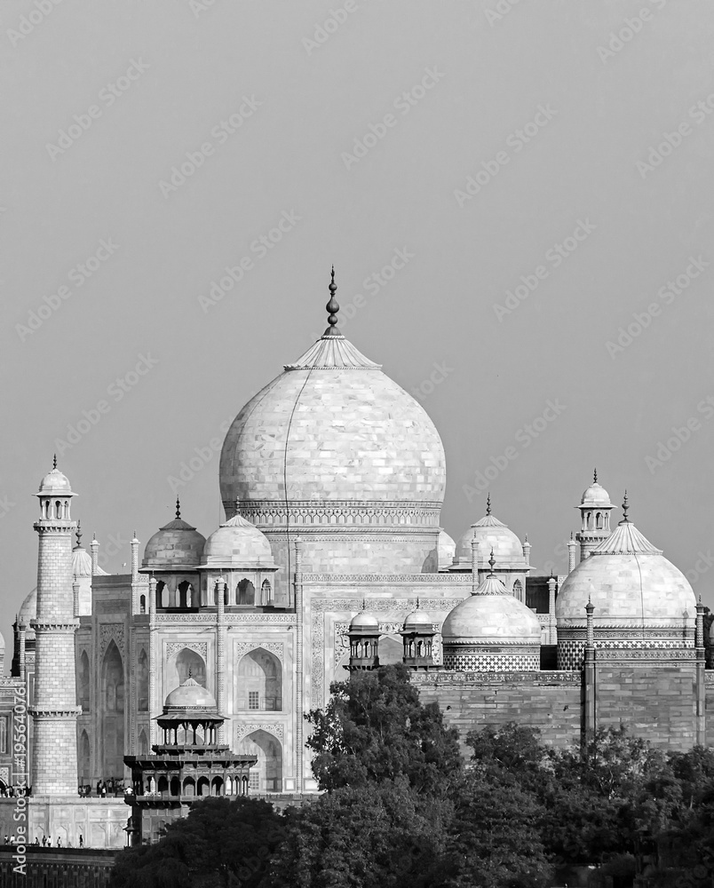 perspective view on Taj-Mahal mausoleum