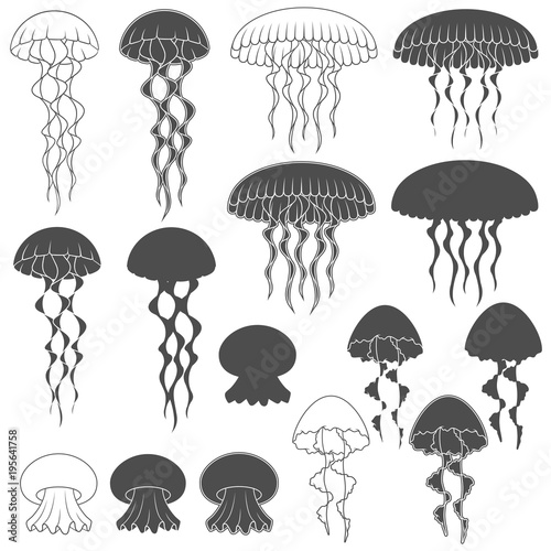 Set of black and white images with jellyfish. Isolated objects on white background.