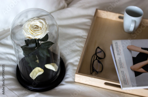White rose in a flask. Long-lasting rose photo