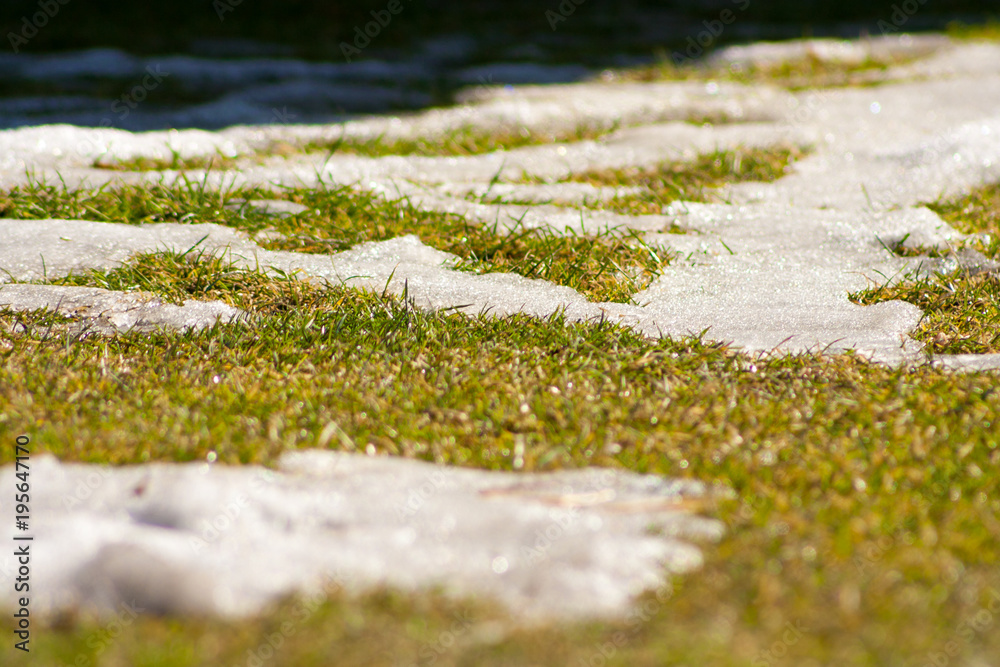 Spring is coming. Remnants of snow on the yellow-green grass.