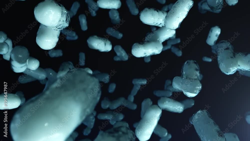 Flying through a colony of bacteria. 4K UHD animation. Flying through a colony of bacteria. 4K UHD animation.