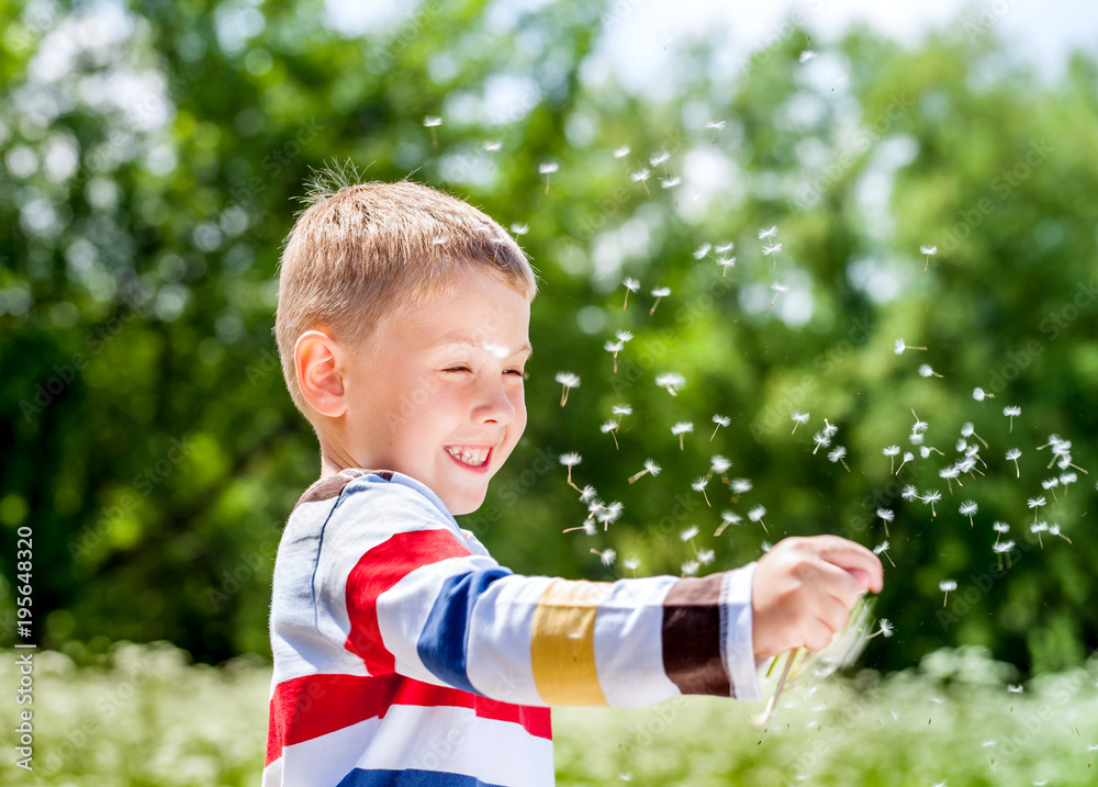 Beautiful boy in the park blowing on dandelion