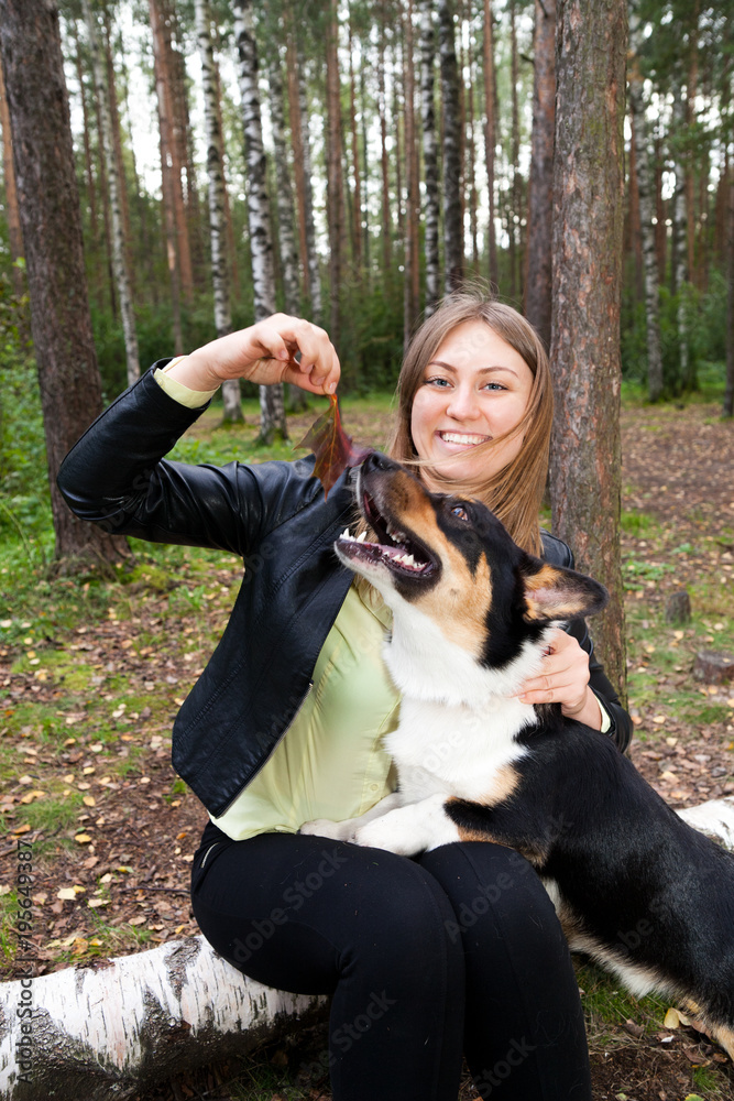 Young woman playing with the dog breed Welsh Corgi Cardigan Young woman playing with the dog breed Welsh Corgi Cardigan