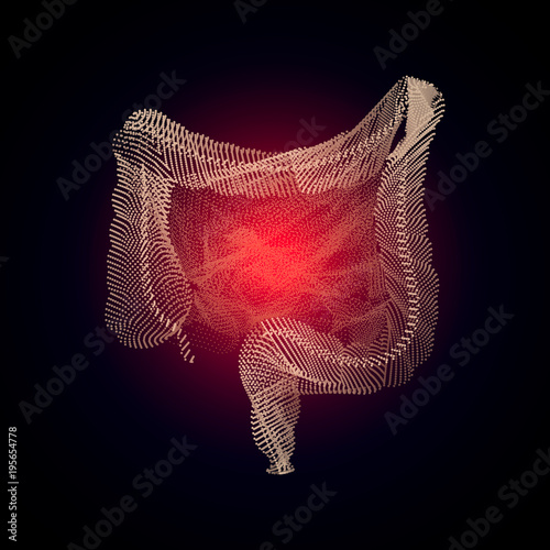 3D human organ Medicine concept with line. Human digestive system intestines gut anatomy gastrointestinal tract diagram. Meteorism, Enteritis, Colitis Dysbacteriosis