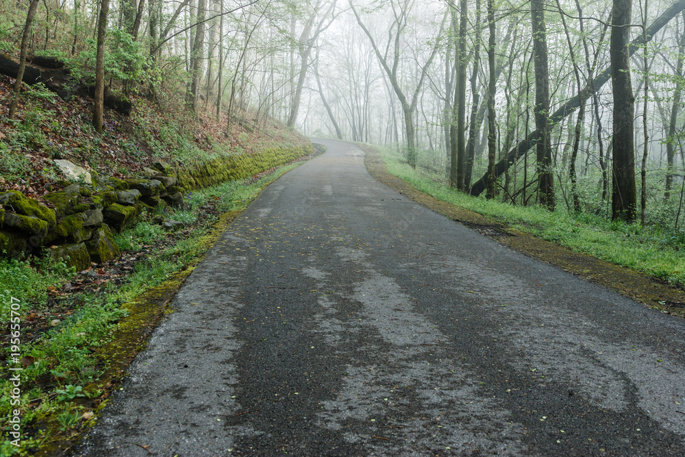 Country Road In Fog Country Road In Fog