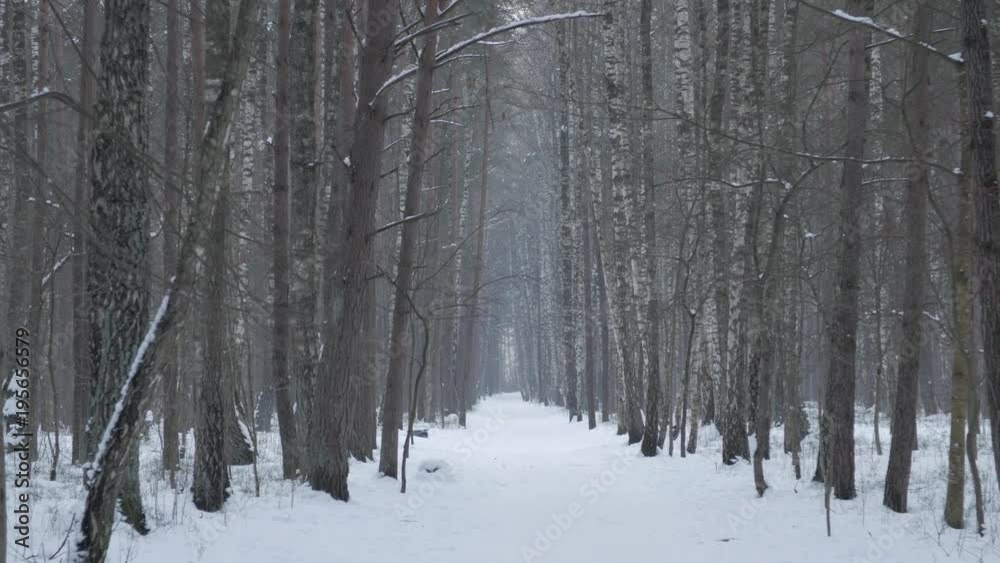 View of the snow-covered road in the winter forest, handheld footage. View of the snow-covered road in the winter forest, handheld footage.