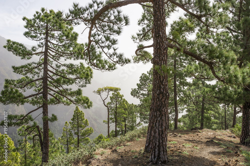 Insel La Palma, kanarische ...