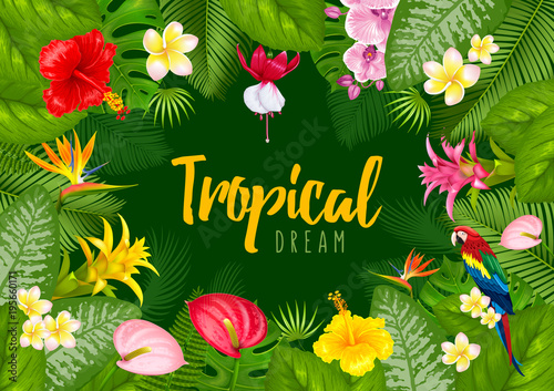 Summer tropical frame design