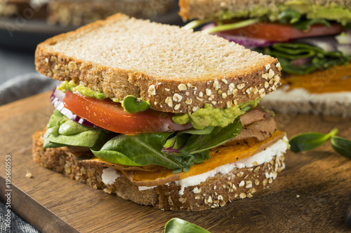 Healthy Homemade Vegetarian Veggie Sandwich