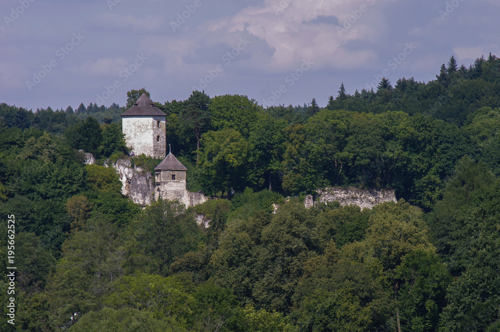 Castle ruins in Ojcow National Park - Poland