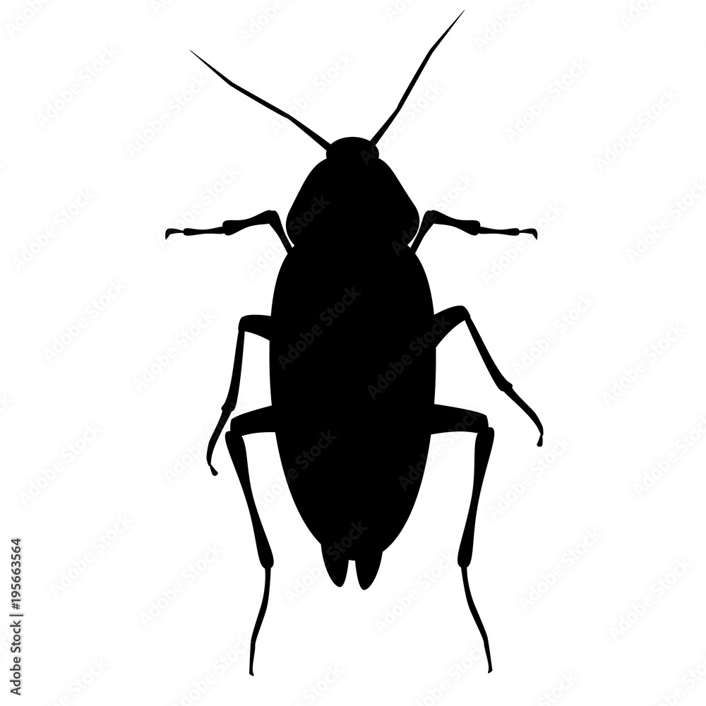 Cockroach, insect, pest, parasite (vector, black outline, silhouette)  Векторный объект Stock | Adobe Stock