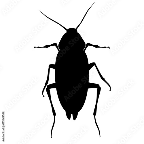 Cockroach, insect, pest, parasite (vector, black outline, silhouette)