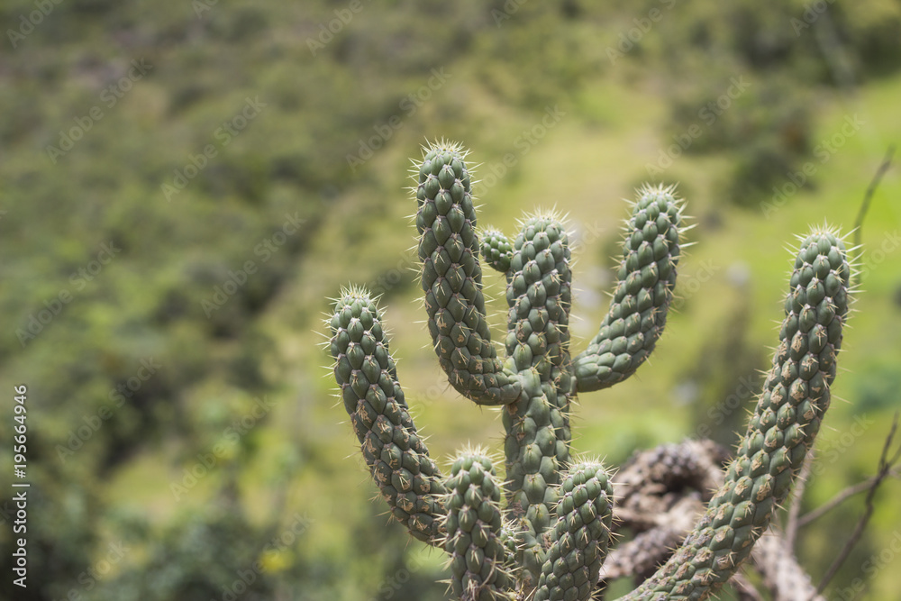 Dia nublado en Bogotá