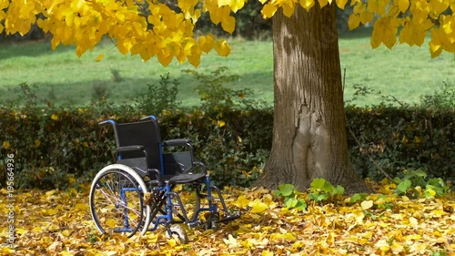 empty wheelchair in the park in the autumn photo